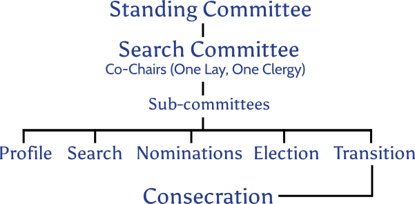 Tree-style chart showing relationship between Standing Committee, Search Commitee, and Subcommittees leading to Consecration